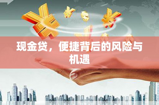 瑞芳现金贷，便捷背后的风险与机遇