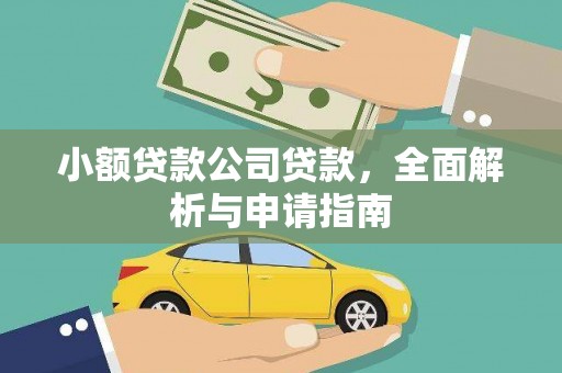 田阳小额贷款公司贷款，全面解析与申请指南